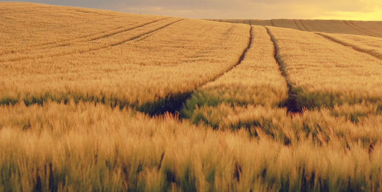 About US - background