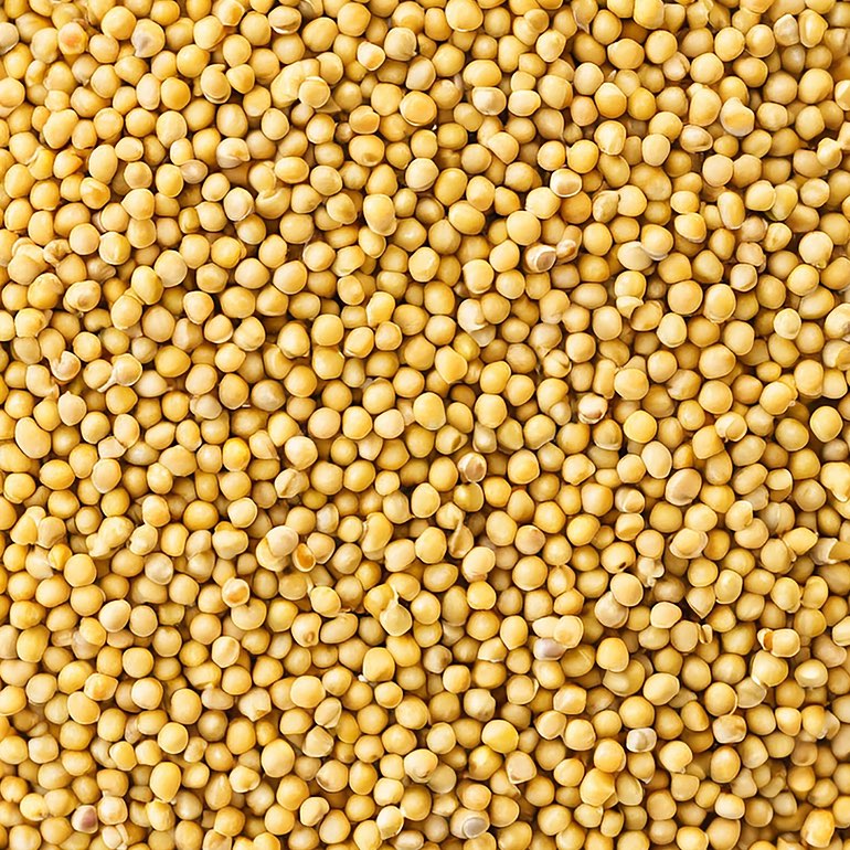 Mustard seeds