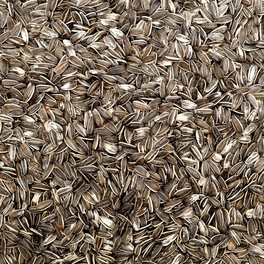 Sunflower seeds